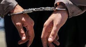 بازداشت ۱۹ نفر در شبکه مجرمانه صادرات ۷۰ کارتن‌خواب / پای ۱.۴ میلیارد یورو تعهد ارزی در میان است