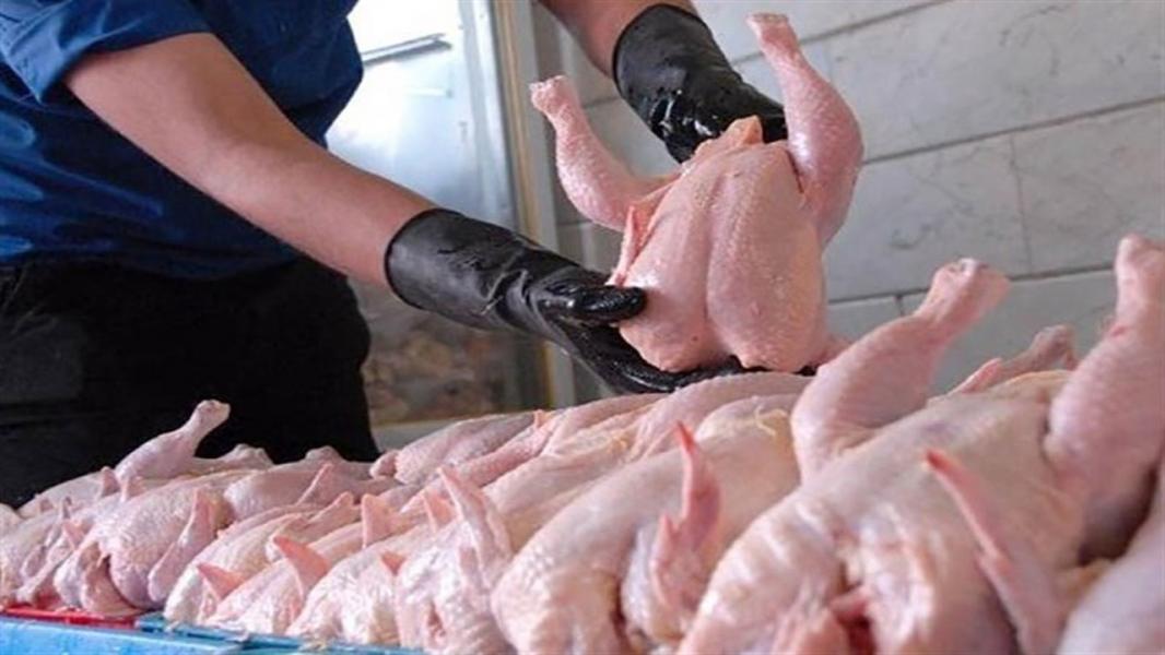 کرونا،مصرف مرغ در مازندران را ۴۰ درصد کاهش داد