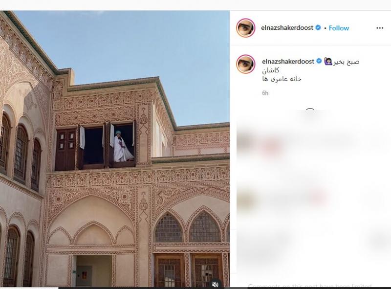 «الناز شاکردوست» در خانه عامری ها/ عکس