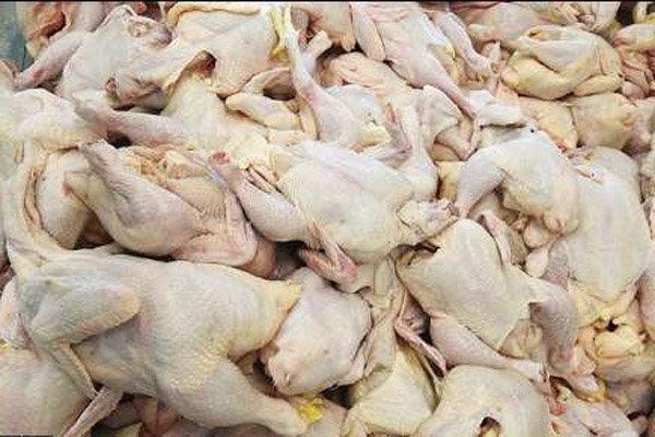 تأمین ۵۰ درصد مرغ مصرفی مردم تهران از میدان بهمن