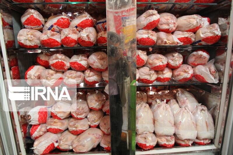 توزیع مرغ گرم و منجمد در بازار ادامه دارد