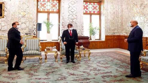 سفرای ترکیه و افغانستان به دیدار رئیس مجلس رفتند