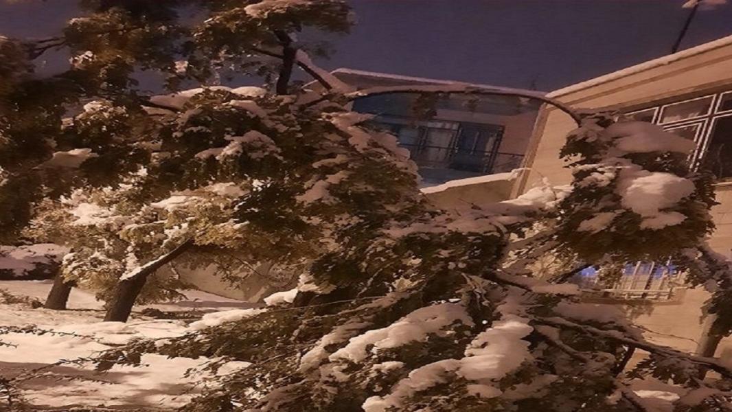 بارش برف و خسارات آن در استان اردبیل