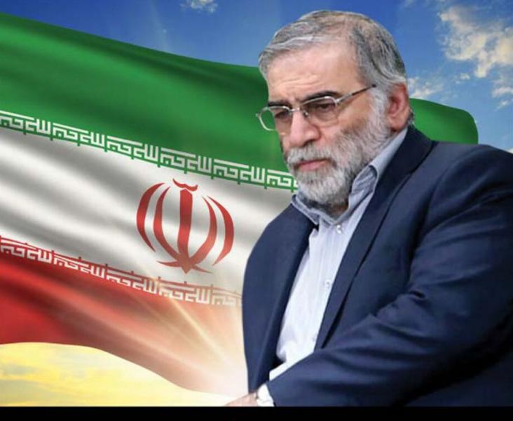 دستگاه دیپلماسی ترور دانشمند هسته ای ایران را پیگیری حقوقی کند