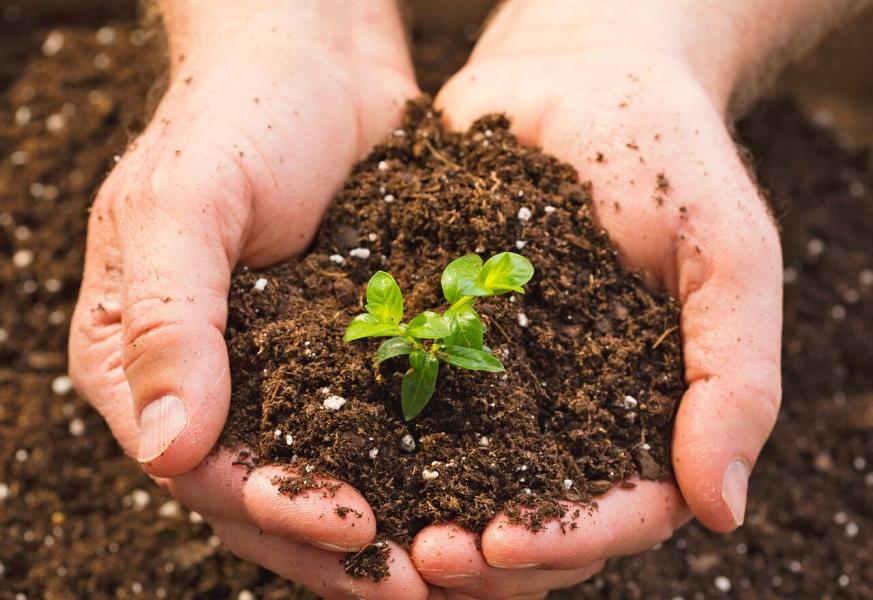 فرسایش خاک در همدان سالانه ۱۵ تن در هکتار است