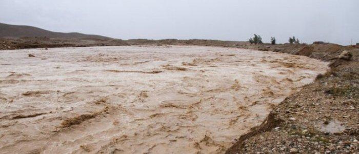 سیلاب در دشتستان یک قربانی گرفت