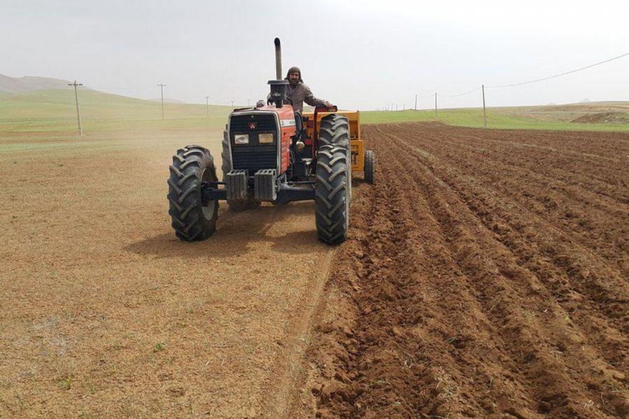 کشت پاییزه محصولات کشاورزی در ۵۴۴ هزار هکتار از مزارع استان همدان