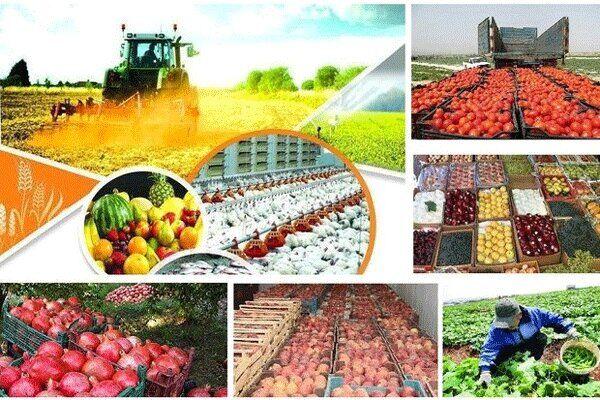 علاقه‌مندان به سرمایه‌گذاری در پایانه صادراتی کشاورزی فارس اقدام کنند