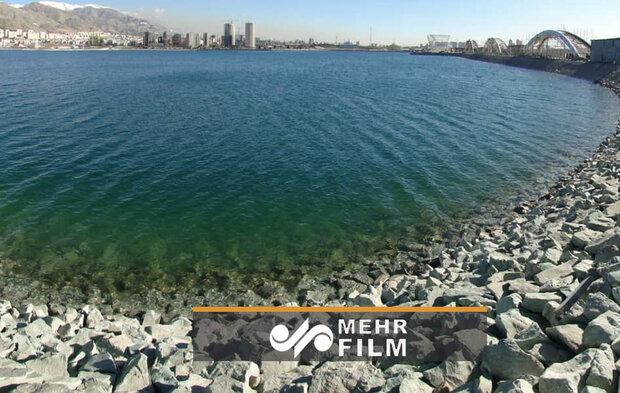 وجود ماهی سرسوسماری در دریاچه چیتگر