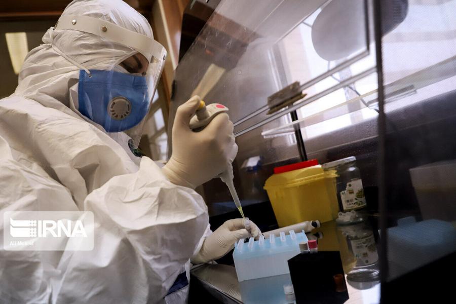 شرایط برای ورود به مرحله انسانی واکسن ایرانی کرونا فراهم است