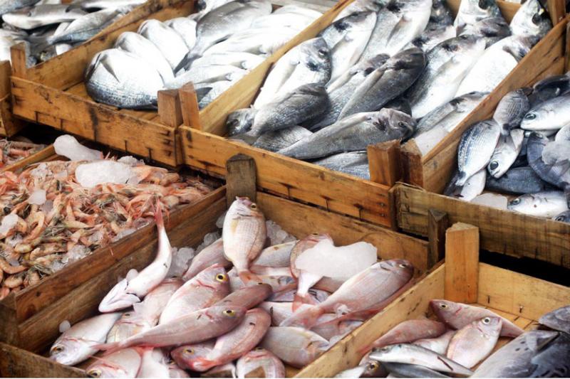 عرضه انواع ماهی در ۵۵ میدان و بازار میوه و تره بار پایتخت