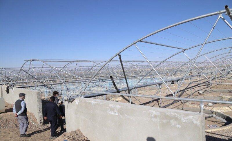 ۲ مجتمع پرورش ماهی تیلاپیا در بافق راه‌اندازی           می‌شود