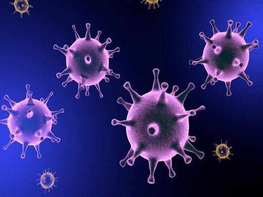 با موفقیت واکسن، کروناویروس به کلی ریشه‌کن می‌شود؟/ ماجرای ساخت واکسن برای همه کروناویروس‌ها