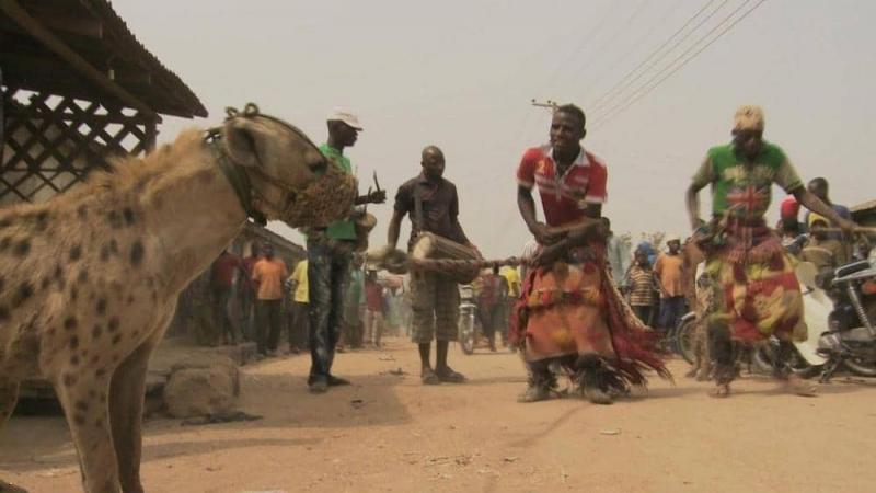 «مبارزه با کفتارها» راه و رسم عجیب قبیله‌ای در نیجریه + تصاویر