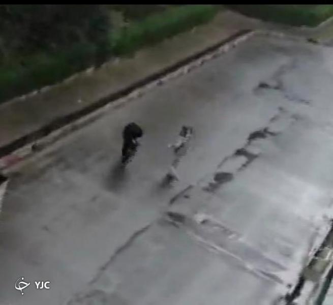 حاشیه‌های فضای مجازی در پی یک تیراندازی/ حقیقت یا شایعه پس پرده ماجرا +تصاویر