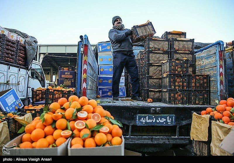 فروش مستقیم میوه توسط باغداران در۸۰ نقطه تهران