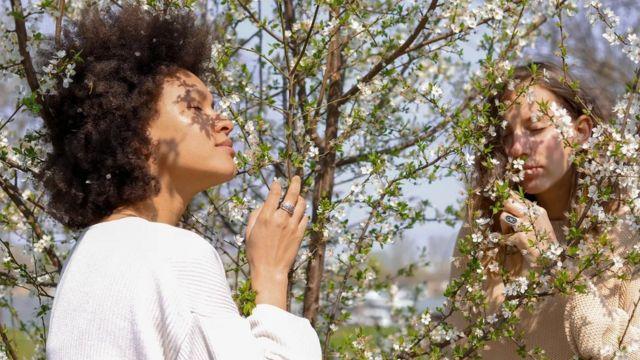 چطور حس بویایی سلامت ما را پیش‌بینی می‌کند؟