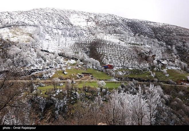 بارش برف بهاری در ارتفاعات مازندران