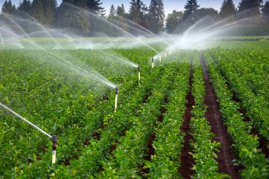 کمک به گسترش کشاورزی / دانش‌بنیان‌ها زیرساخت‌های علمی پایش آب و خاک را توسعه دادند