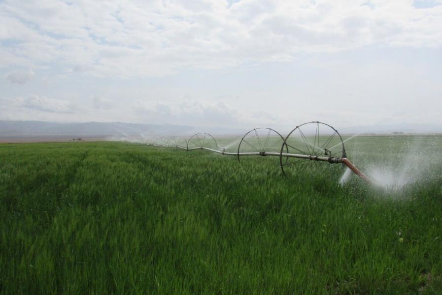 پنج هزار هکتار از اراضی کشاورزی قزوین به آبیاری نوین مجهز می‌شوند