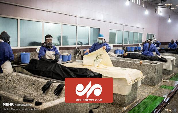 سخت‌ترین روزهای بهشت زهرای تهران