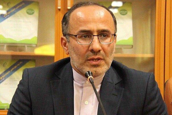 Parl. obliged to monitor Vienna talks seriously: MP