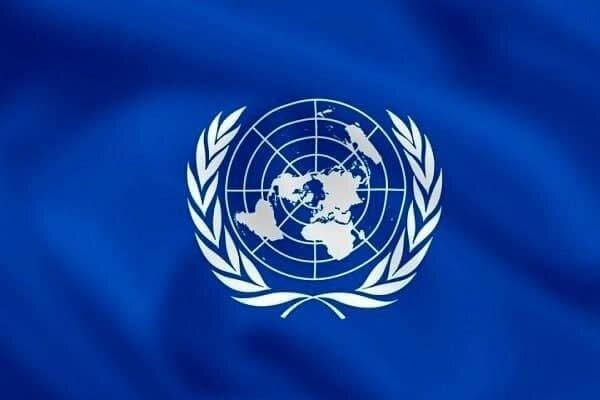 قطعنامه سازمان ملل متحد در مورد «پیشگیری از غرق شدگی» تصویب شد