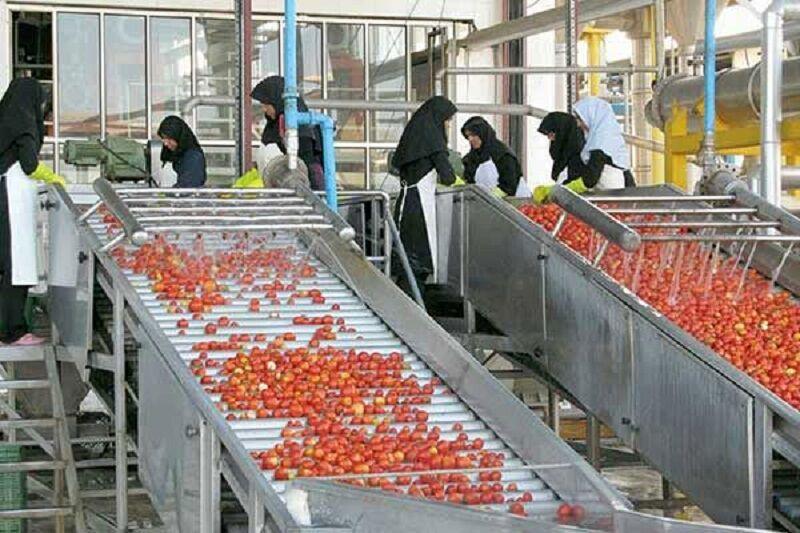 ارزش افزوده، ارمغان توسعه صنایع تبدیلی در قزوین