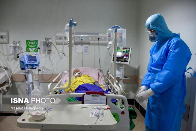 بستری ۲۹۰۰ بیمار کرونایی در مناطق تحت پوشش دانشگاه علوم پزشکی مشهد