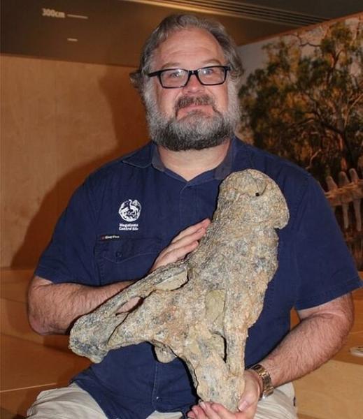 کشف جمجمه‌ یک تمساح ۸ میلیون ساله!