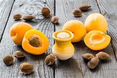 اطلاعات علمی حیرت انگیز درباره هسته زردآلو