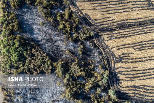 آتش‌سوزی وسیع در جنگل‌های جنوب استان اصفهان