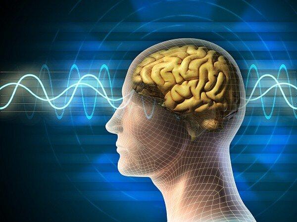 پیش‌بینی بازیابی مهارت‌های زبانی پس از آسیب مغزی با کمک مدل‌سازی رایانه‌ای