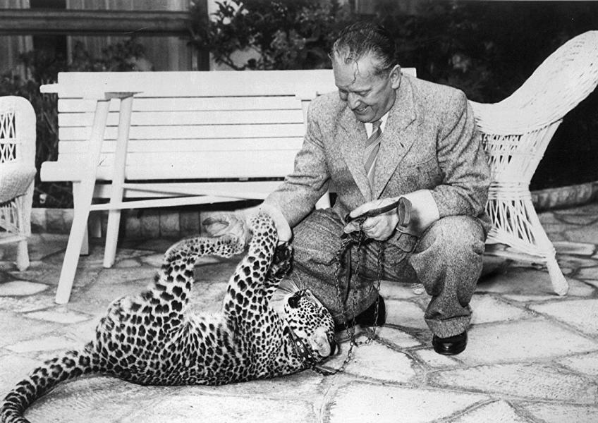 ترور صدراعظم اتریش / ژاپن پس از جنگ جهانی دوم چگونه بود؟ / یوگسلاوی پس از سلطه تیتو / تصرف پایگاه موشکی وی-۱ آلمان / راه حل مشکل جای پارک در ۱۹۲۷