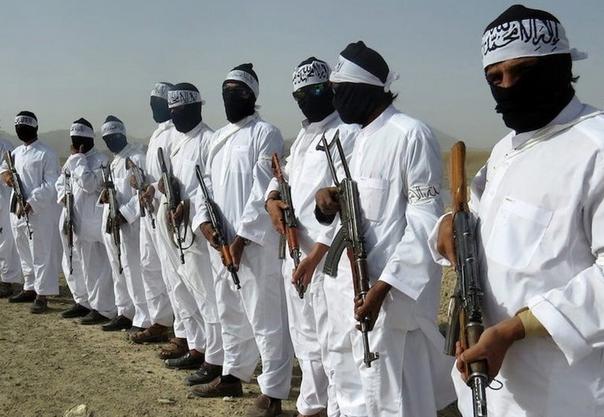 طالبان: در تعطیلات عید قربان حالت دفاعی داریم