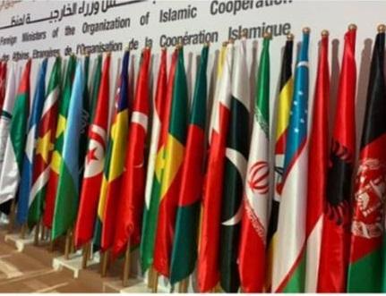 ارائه راه‌کارهای ایجاد دادگاه بین‌المللی اسلامی حقوق بشر