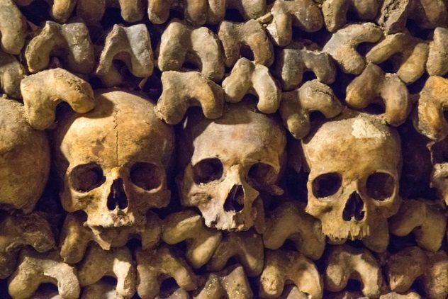 دخمه مردگان پاریس کجاست؟ / از سیل اجساد تا کشاورزی روی خاکی که بوی مرگ می‌دهد!