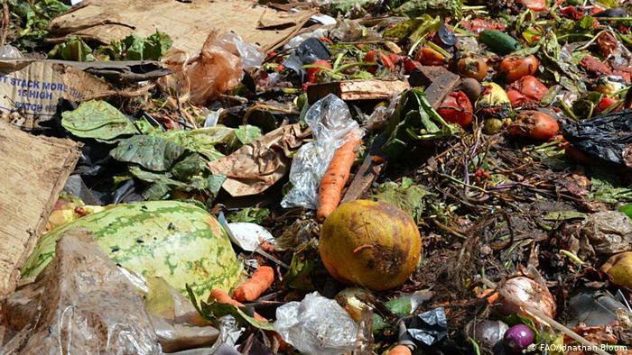 سه درصد ضایعات غذایی و کشاورزی دنیا در ایران تولید می‌شود