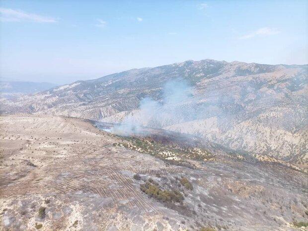 حریق در منطقه حفاظت شده جهان نما مهار شد