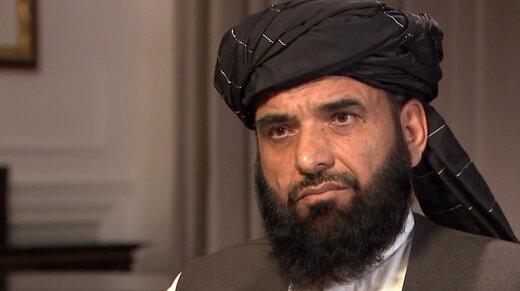 طالبان: ما حق داریم صدای مسلمانان کشمیر یا هر کشور دیگر را بلند کنیم