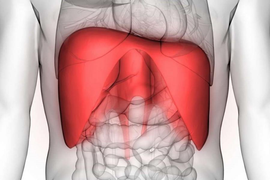 پیچیده‌ترین دلایل بروز درد در ناحیه دیافراگم