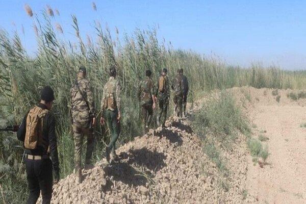 عملیات جدید نیروهای عراقی علیه داعش در شرق این کشور