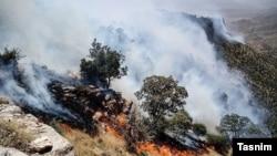 زبانه‌های آتش باز هم در زاگرس؛ جنگل‌های گناوه لری گچساران سه روز است که همچنان می‌سوزد