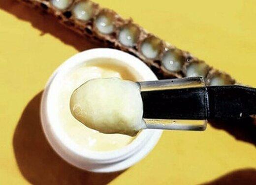 آشنایی با ژل رویال و 12 خاصیت بی نظیر این فرآورده زنبور عسل