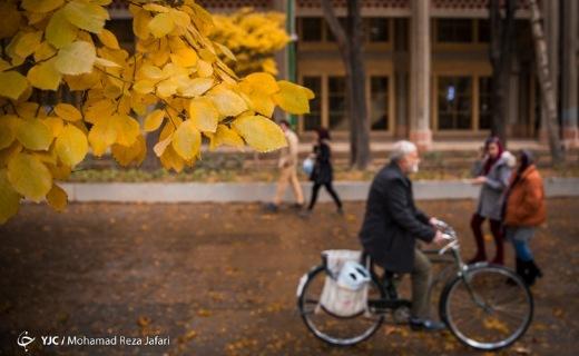 حال و هوای خزان در چهارباغ ماندگار است