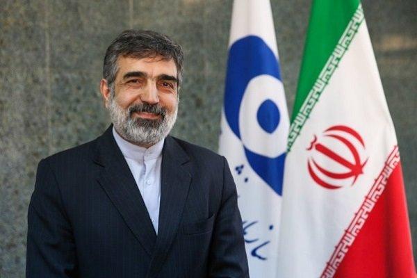 همکاری ایران با آژانس انرژی اتمی ادامه دارد