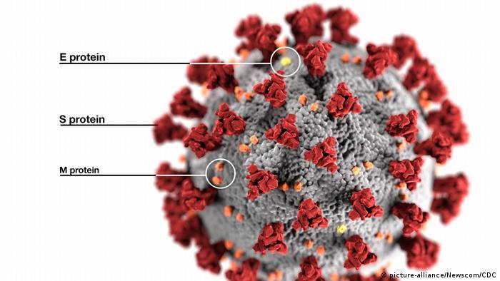 درباره سویه جدید ویروس کرونا "اومیکرون" چه می‌دانیم؟