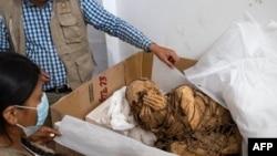 کارشناسان: مومیایی ۸۰۰ ساله پرو متعلق به یک مرد جوان است 