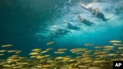 مخالفت وزارت محیط زیست اسرائيل با اجرای یک قرارداد نفتی با امارات؛ دولت می‌گوید دخالت نمی‌کند