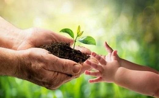 بیکارترین و پرکارترین رشته‌های دانشگاهی